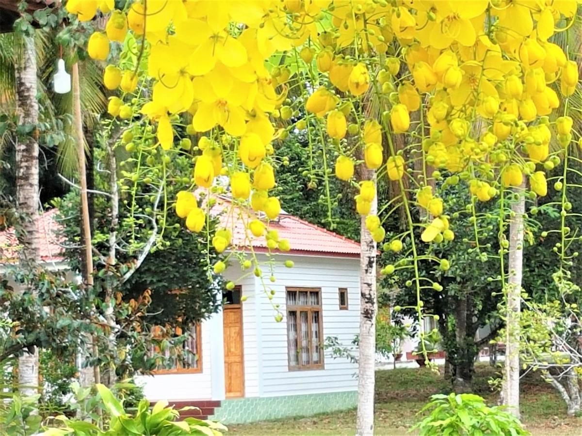 Tang Thanh Phat Resort Phú Quốc Exterior photo